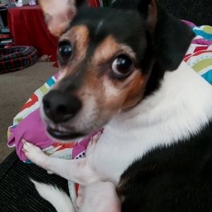 Meet your Posher, Sylvia